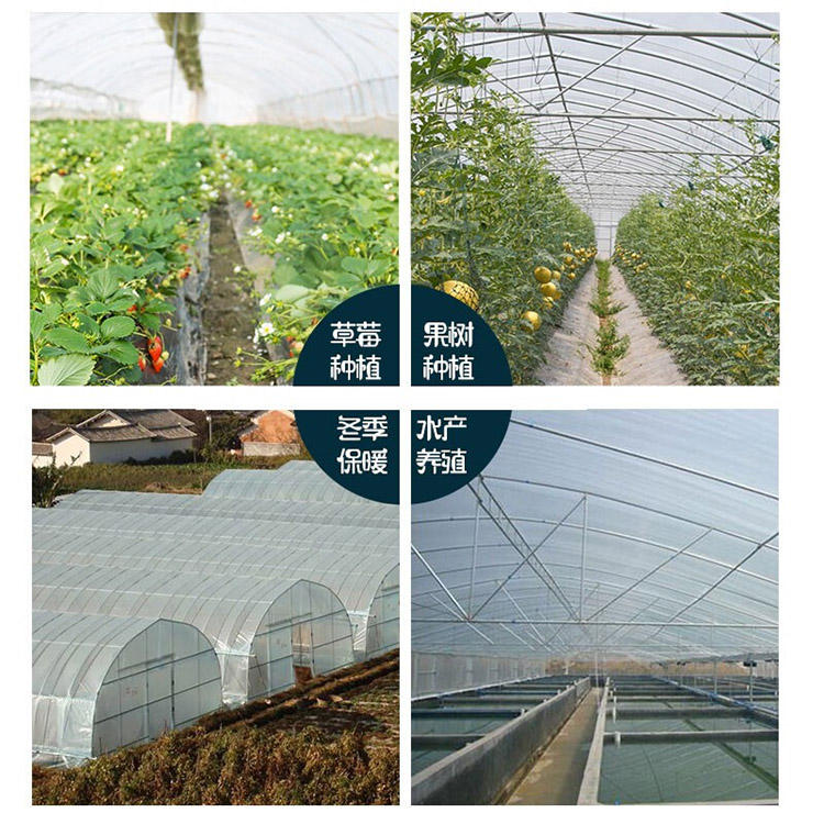 Shuaifeng multifunctional PO greenhouse film, crystal PO film, waterproof and sunscreen manufacturer, directly supplied for production and wholesale of plastic film