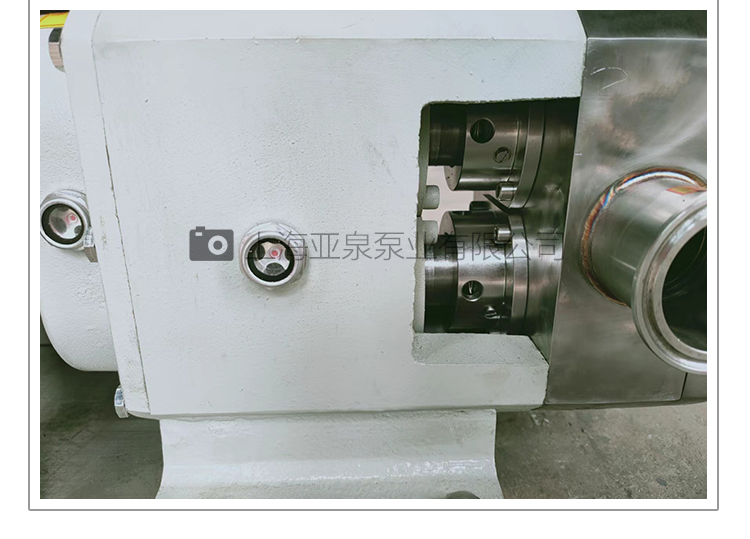 Yaquan cam rotor pump, petrochemical pump, mud pump, asphalt pump, particle passing through strong