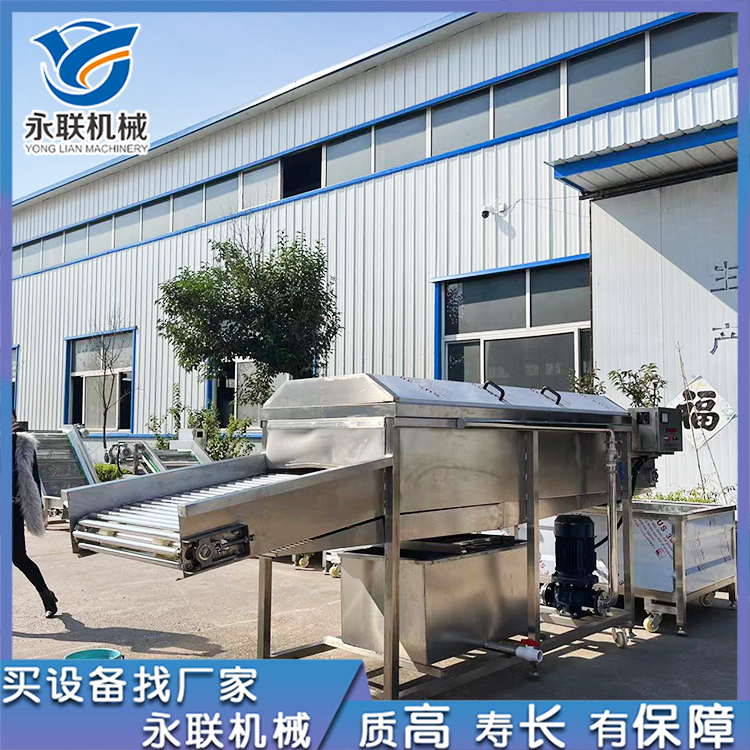 Yonglian roller washer Pitaya cleaning equipment has good effect of up and down spray cleaning