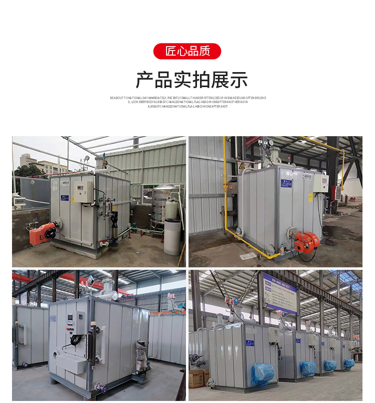 FTSG2-0.7-YQ Fuel Gas Steam Generator Fully Automatic Laundry Clothing Factory Multi function Steam engine