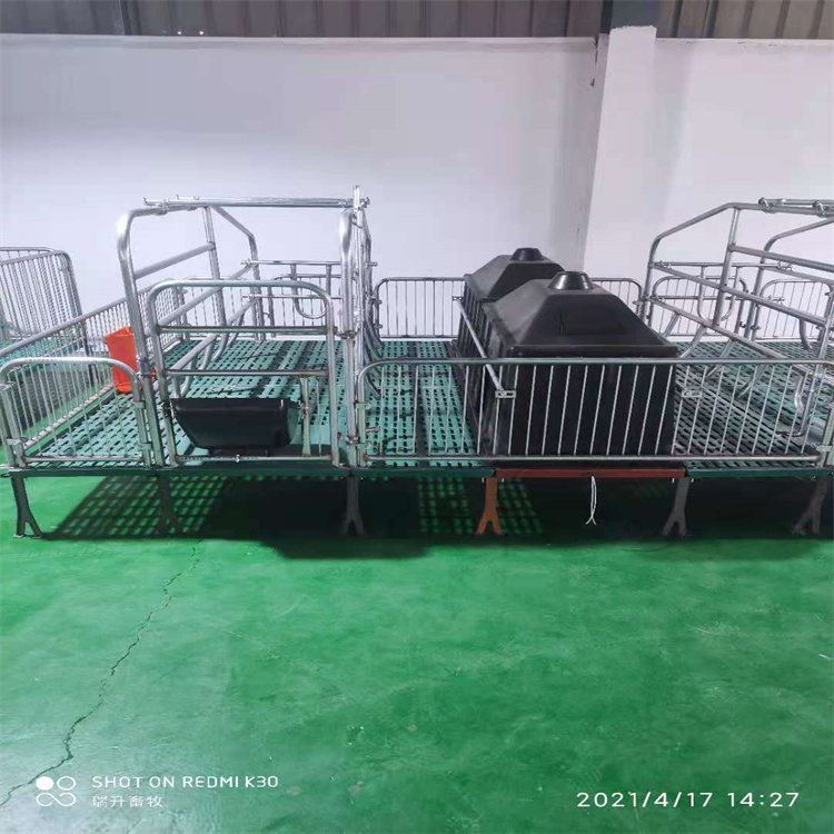 Thickened sow production bed, sow production and protection integrated bed equipment, dual body processing - Wangzhu Livestock