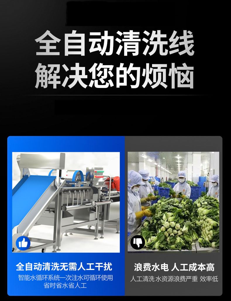 Large clean vegetable processing assembly line Longan Passion Fruit Cleaning Equipment Small Scallion Spinach Bean Sprout Cleaning Air Mainline