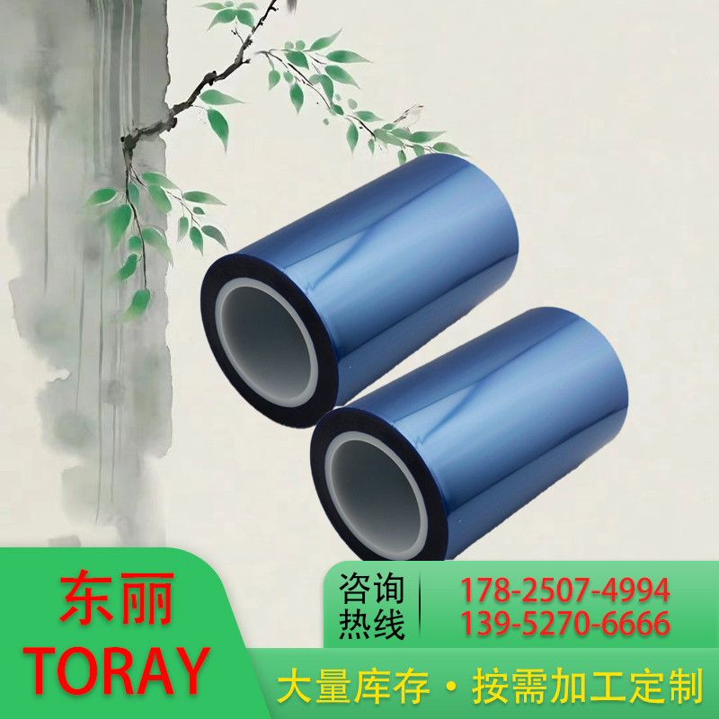 TORAYNR01B 东丽 黑色