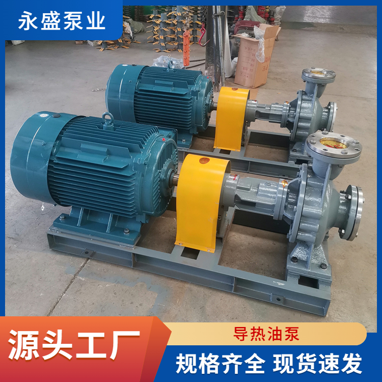 RY heat transfer oil circulation pump heat transfer oil pump stainless steel heat pump manufacturer wholesale Yongsheng