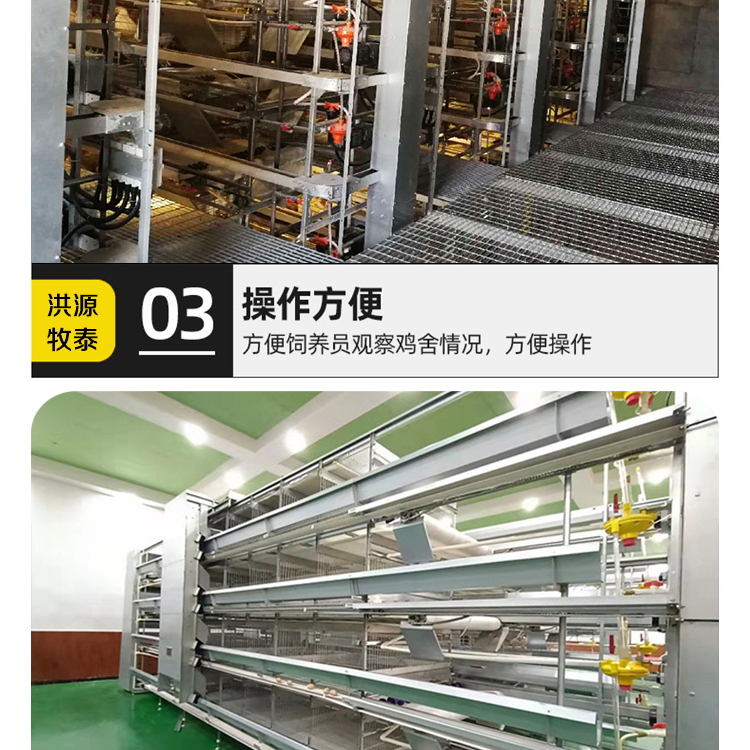 Breeding farm pure water equipment Xingning chicken farm equipment Xingning chicken breeding equipment Chicken self ingredient equipment Egg chicken meat chicken breeding equipment Chicken net equipment