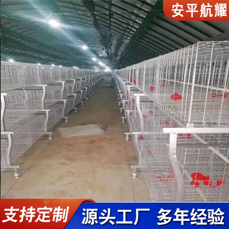 H型垂直蛋鸡笼 全自动养鸡设备 层叠式育雏笼 航耀 支持加工定制