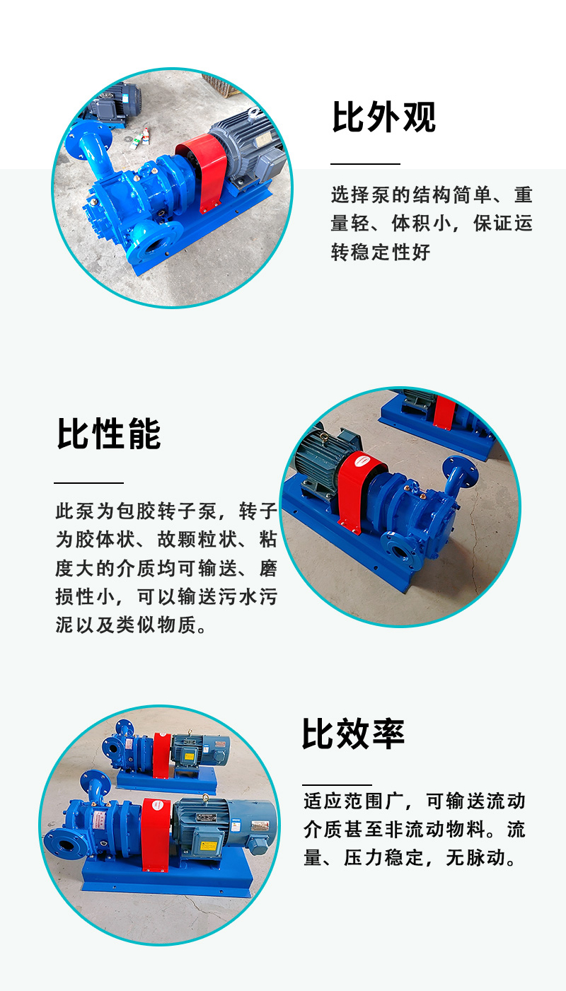 Wholesale LZB piston rotor pump, rubber coated cam pump, cast iron spiral sludge pump by manufacturer