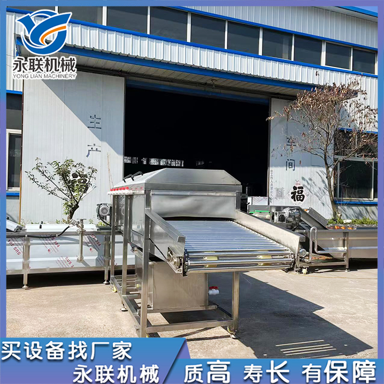 Yonglian roller washer Pitaya cleaning equipment has good effect of up and down spray cleaning