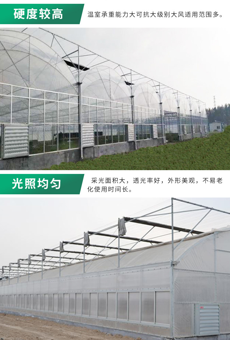 Steel skeleton vegetable greenhouse, single arch greenhouse, spring and autumn cold and warm bread and strawberry greenhouse, double mold film solar greenhouse