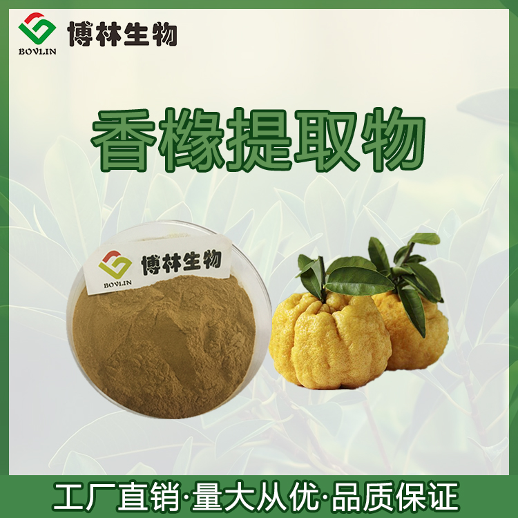 Citron extract 10:1, water-soluble citron concentrate powder with strong odor and high proportion