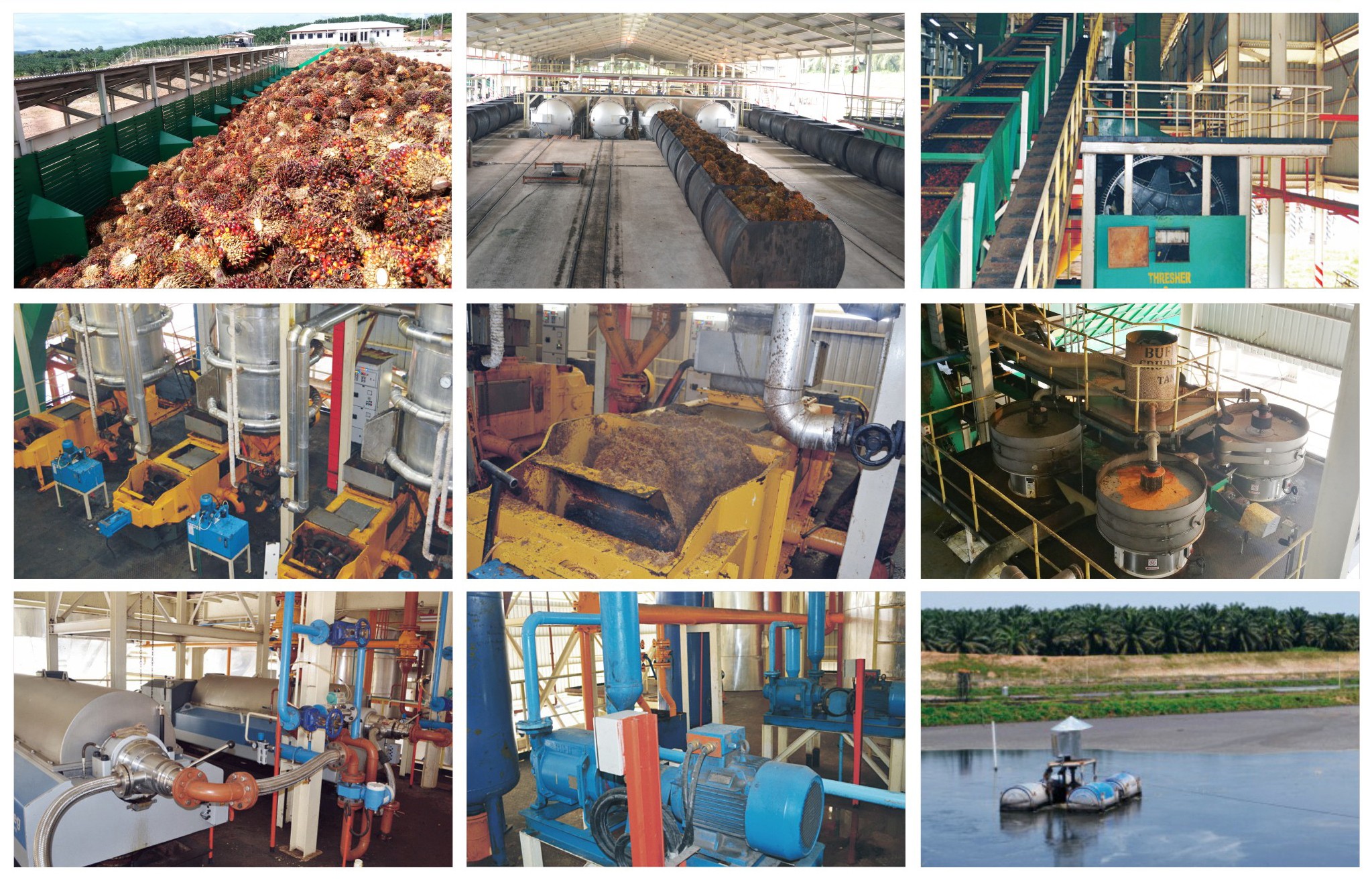 Fully automatic edible oil extraction equipment, medium-sized peanut vegetable oil extraction machine, easy to operate