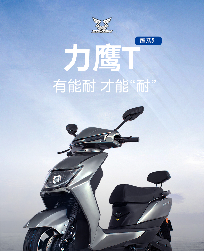 Zongshen brand ZONSEN Liying electric scooter national standard electric vehicle