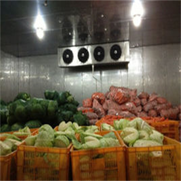 Suining Small Cold Storage Equipment Saves Electricity, Worries, and Maintains Fruit Hardness for a Long Time