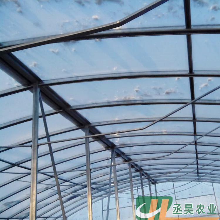 C-shaped greenhouse with double film framework and steel framework, Chenghao agricultural planting and breeding greenhouse framework, galvanized elliptical tube