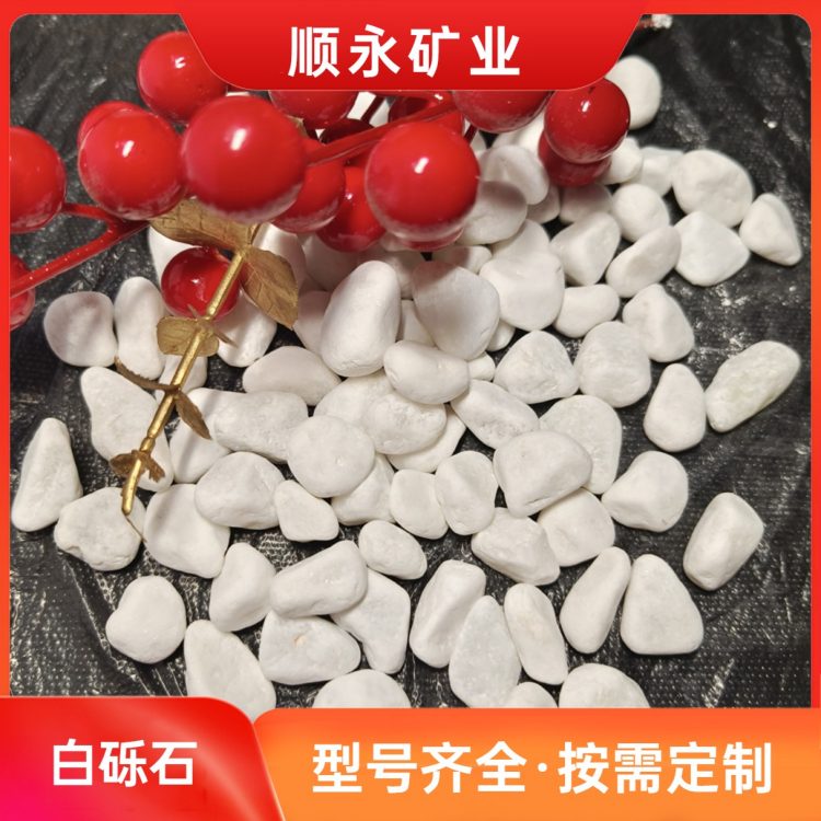 白色石米石头 12-15毫米 别墅绿化铺路造景 专车发货