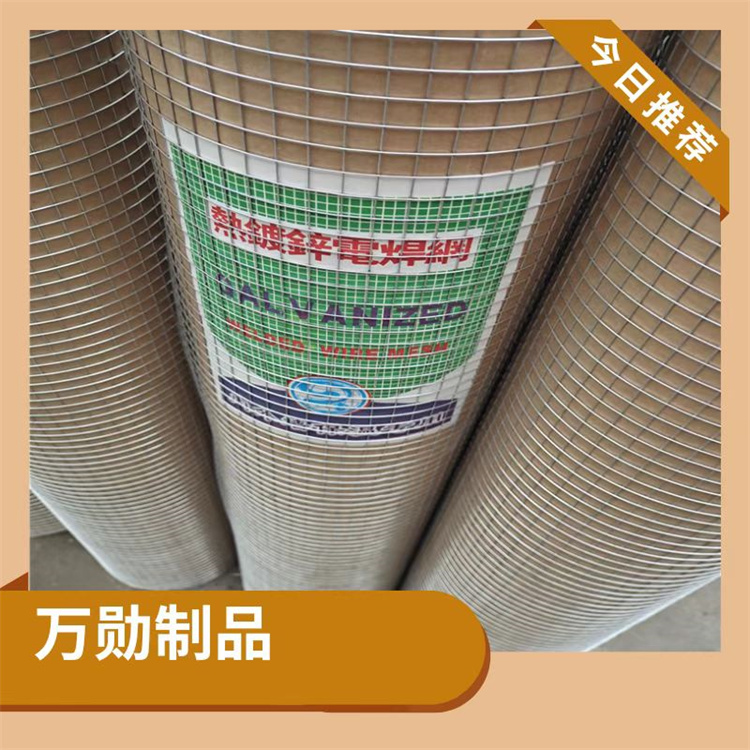 Building exterior wall galvanized welded wire mesh hot-dip galvanized steel wire mesh iron wire mesh factory welcome inquiry Wan Xun