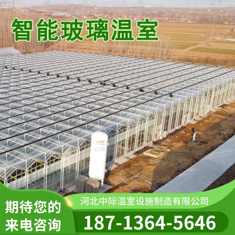 蓝莓避雨棚造价 玻璃阳光板薄膜日光温室大棚 包工包料热镀锌