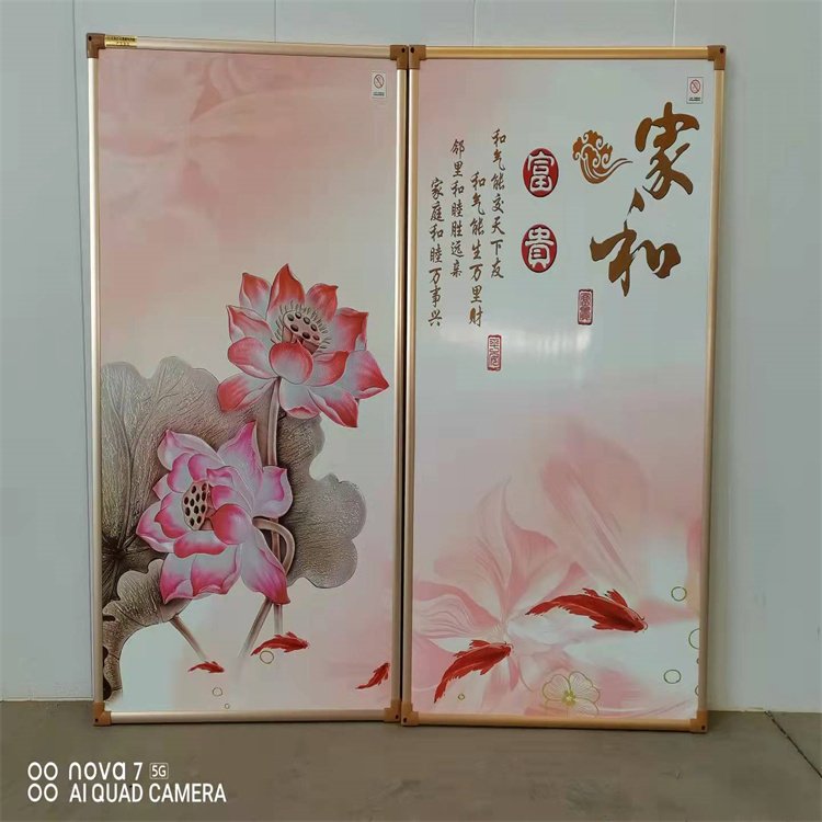 500w石墨烯电暖器 即热式取暖器 落地壁挂两用 双面发热远红外电热板