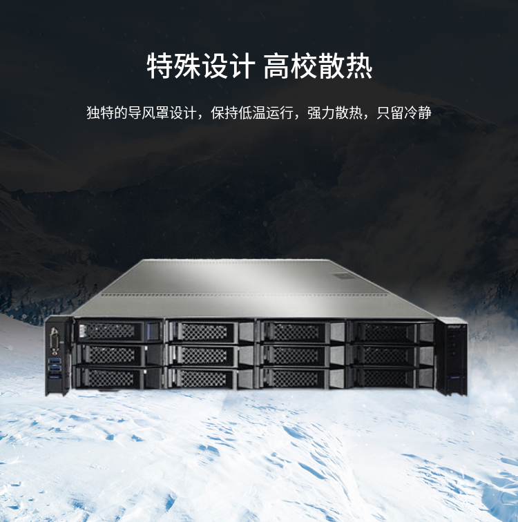 Inspur Yingxin NF5270M5 Xeon Silver 4210/32GB/8TB Server