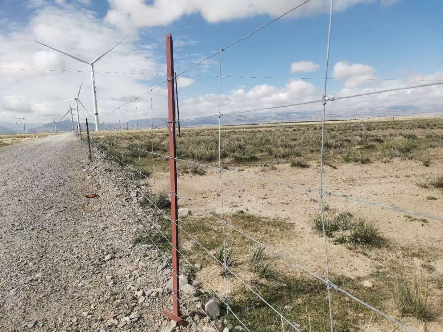 Grassland fence, steel wire fence, woven net fence, pastoral protection net