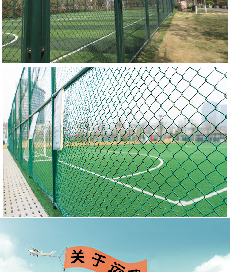 Chongze Frame Ski Field Fence Customized Diamond Hole Wrapped Plastic Hook Flower Net Outdoor Dark Green Playground Fence