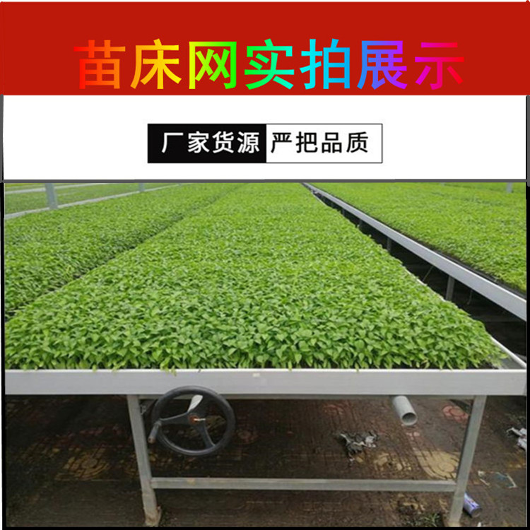 Tailong Flower Seedling Cultivation, Flower Rack Network, Medicinal Material Planting, Corrosion Resistant Seedling Bed Network, Vegetable Galvanized Planting Net Bed Customization