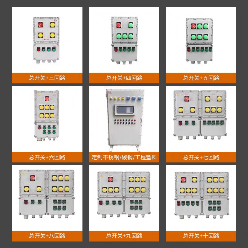 Customized BXD explosion-proof magnetic starter stainless steel explosion-proof box IICIIB distribution box