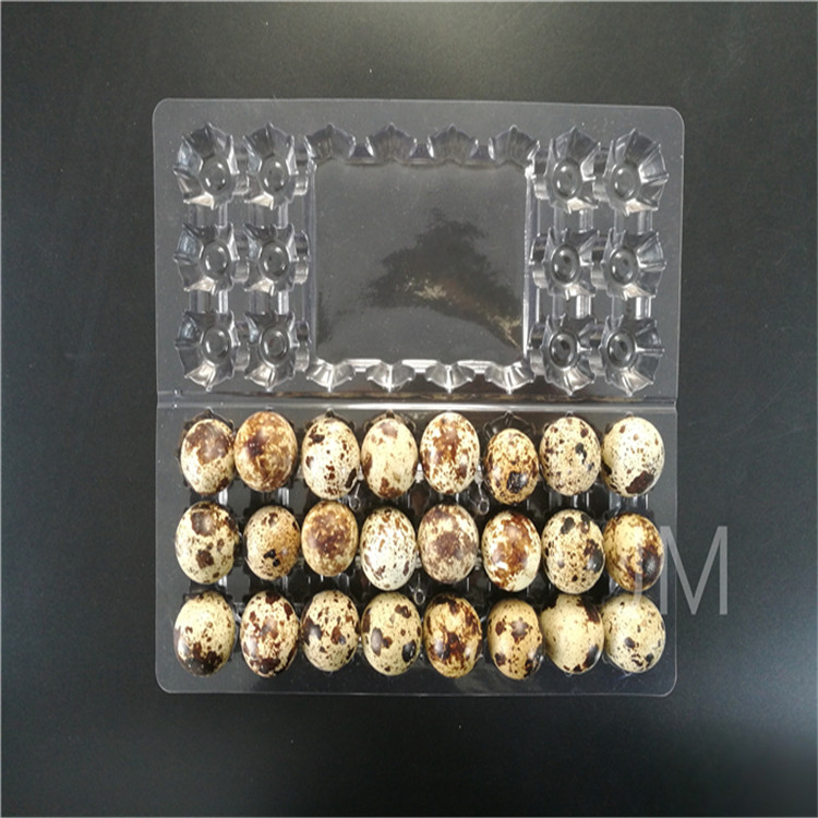 30 Quail eggs holders with buckle plastic transparent disposable quail egg holders