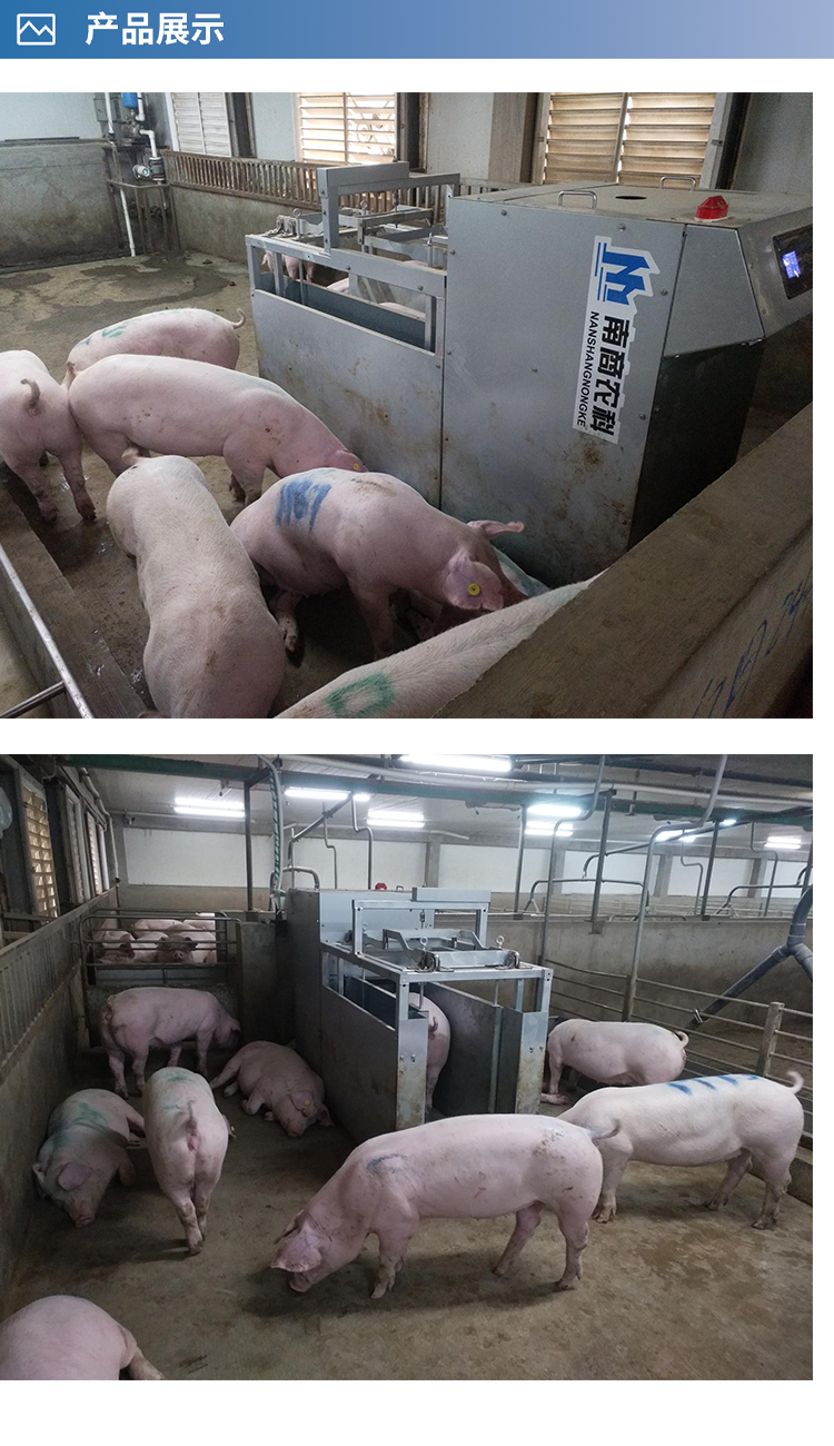 Precision Feeding Equipment Pig Production Performance Measurement System Fully Intelligent Integrated Pig Raising System