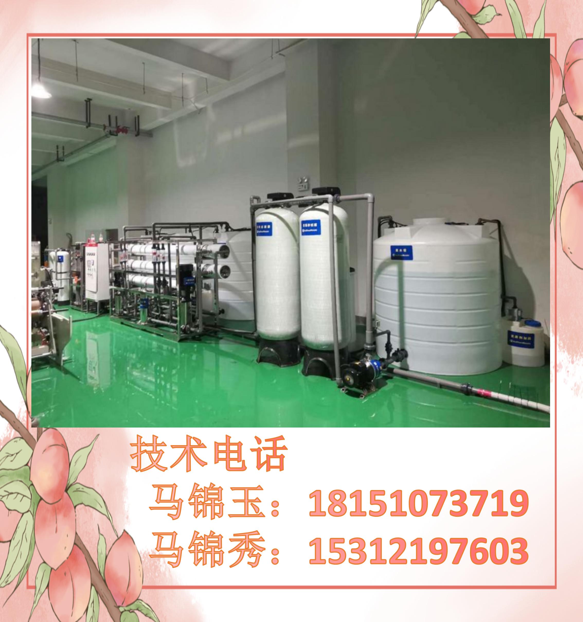 3T/h reverse osmosis integrated Ultrapure water machine Industrial deionized water full-automatic intelligent equipment