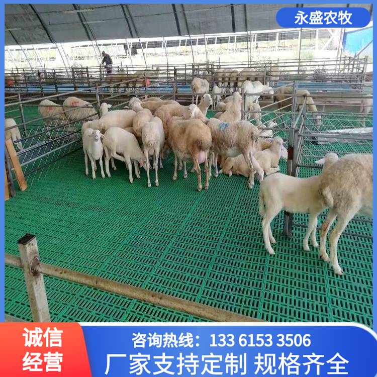 Plastic sheep dung leakage board Shepherd shed dung leakage floor anti aging and non slip