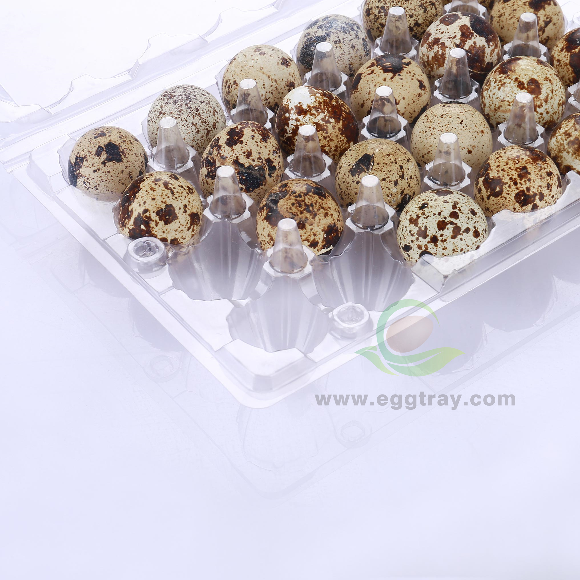 One time plastic Quail eggs tray 24 transparent shockproof thickened packaging boxes Quail eggs trays factory direct wholesale