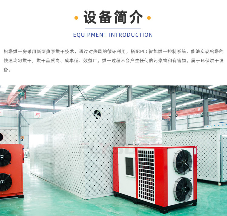 Guoxin Environmental Protection Large Pine Tower Heat Pump Drying Equipment Tea Seed Drying Machine Walnut Drying Room