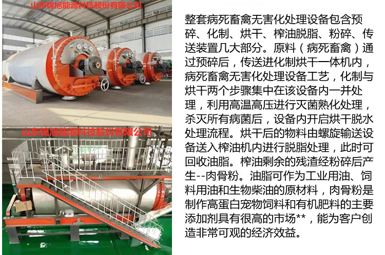 Jinxu harmless treatment equipment for sick and dead livestock and poultry Meat and bone meal production line feather meal drying equipment