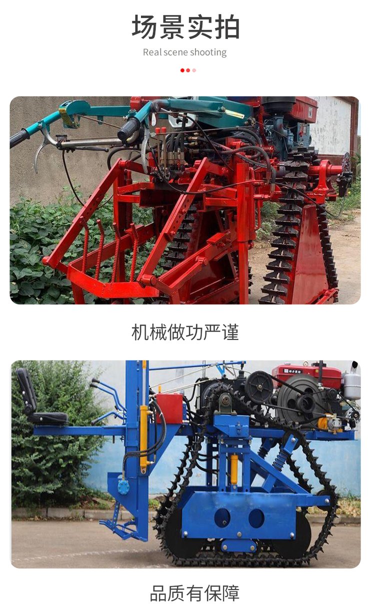 Picture of a scallion digging machine with high work efficiency. Scallion harvester, diesel tracked scallion ginger excavator