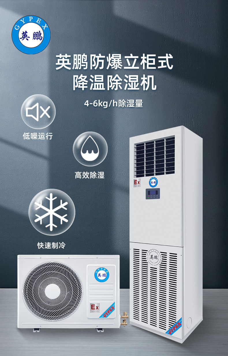 Yingpeng Explosion proof Cooling Dehumidifier Industrial Laboratory Dehumidifier BCF-06CJ (G) Dehumidifying capacity 6kg/h 220V