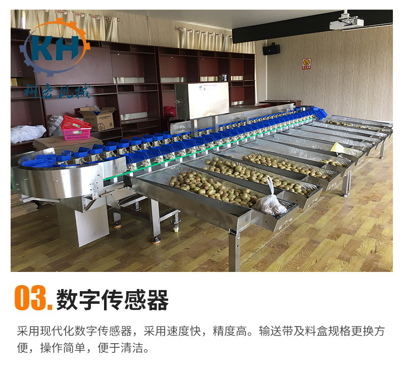 Material box sorting machine Seafood size sorting machine Potato and potato grading equipment