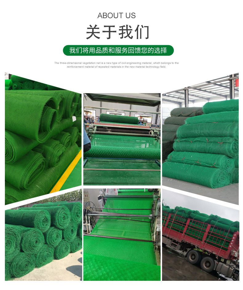 Green 3D Geonet Cushion for River Slope Protection, Vegetation Net Fixed U-shaped Nail for Soil and Water Protection