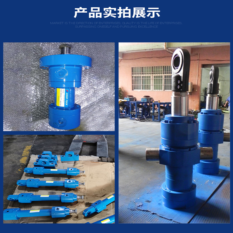 Plunger type high-pressure equipment buffer heavy load Bosch Rexroth type mechanical equipment hydraulic cylinder