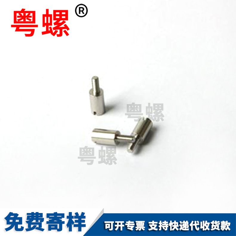 Stainless steel shoulder plug and high screw, stainless steel step plug and screw