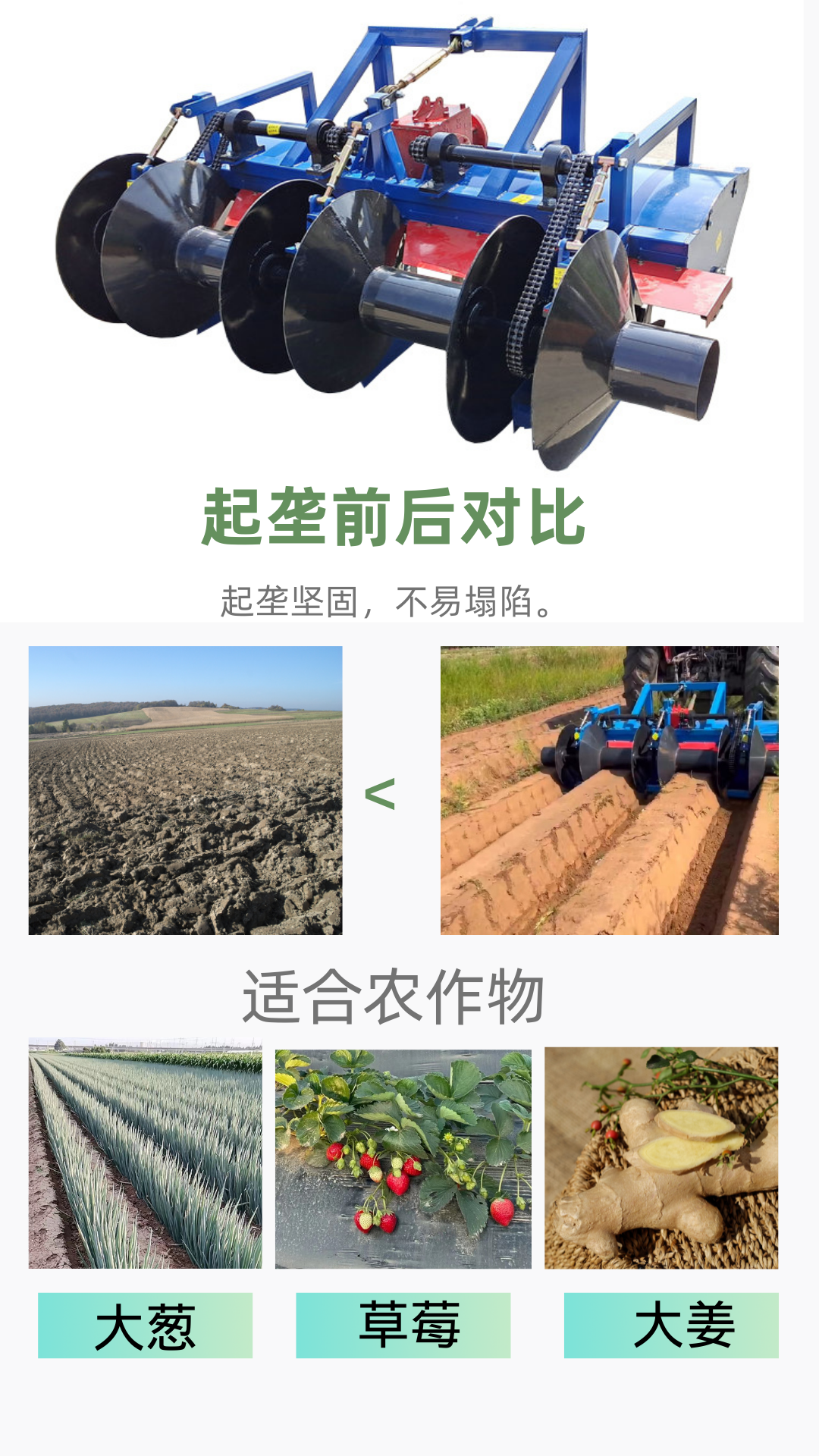 Rotary tillage, ridging, fertilization, and sowing integrated machine for scallions, strawberries, furrowing, ridging, and building ridges