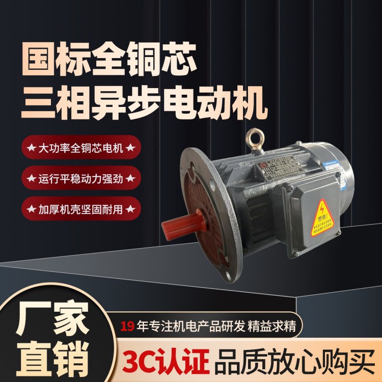 YE3-315S-2铝壳电机三相直流电机 立式异步电动机110KW