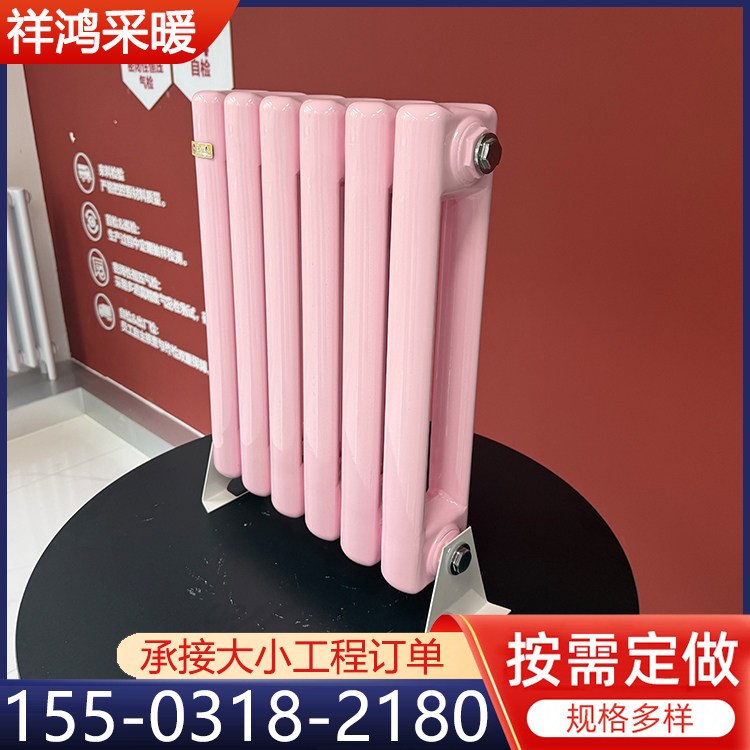 6030 双水道散热器 钢管暖气片厂家 承接大小工程订单