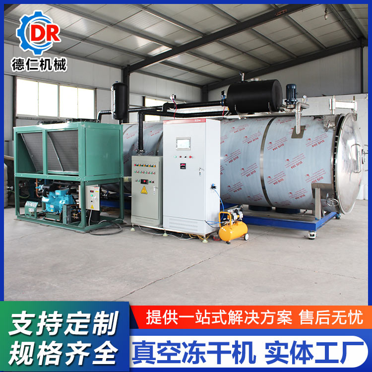 Deren Machinery Matsutake Freeze Drying Equipment Small Vacuum Freeze Drying Machine Cold Trap Device Widely Used