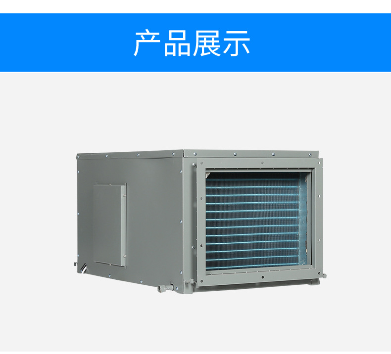 Suspended ceiling pipeline industrial dehumidifier villa warehouse dehumidifier large workshop commercial and household wall mounted