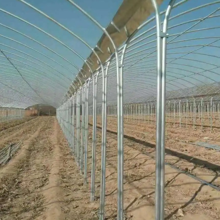 The model of the greenhouse in the sunlight greenhouse is a few shaped steel structure, which is not easy to deform. The framework of the greenhouse has straight edge profiles