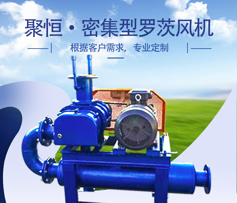 Juheng Environmental Protection Chemical Industry Dense Roots Fan Vacuum Pump Selection High Pressure Fan Source Factory