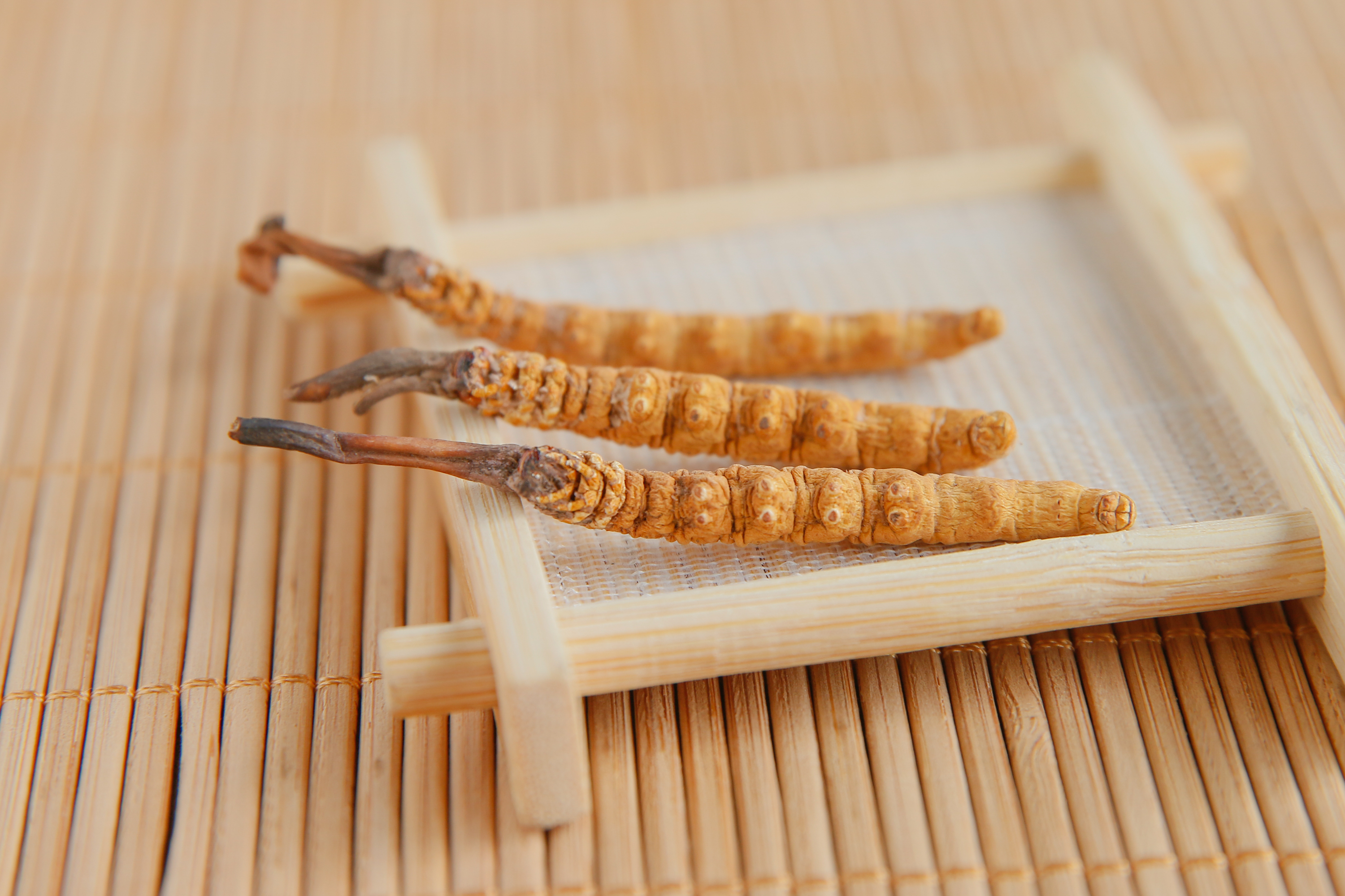 广 州荔湾冬虫夏草回收行情 可24小时上门收购档口