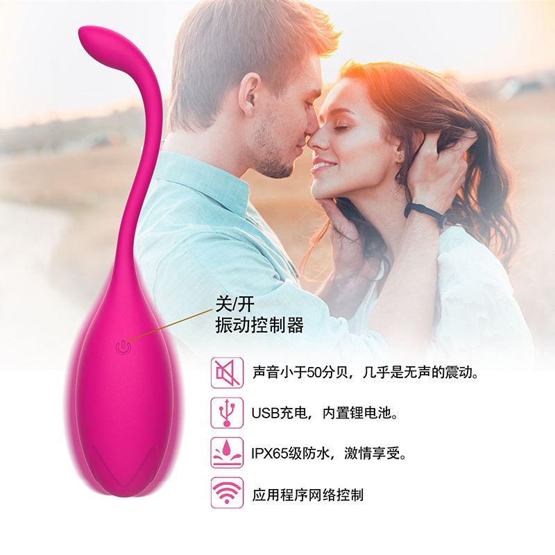 Yuese Huan YSH Remote Control Jumping Egg Kegel Ball Women's Masturbation Shaker Fun Adult Products