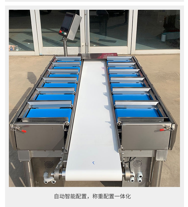 Multi station weight combination weighing machine with stable performance for high-precision quantitative weighing of sea cucumber, abalone, and scallop